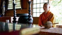 The Atomic Tree | TRAILER