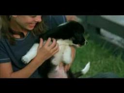 All Roads Lead Home Theatrical Trailer