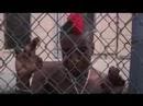 Miles From Home *TRAILER*