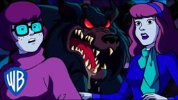 The Interrogations Begin Clip