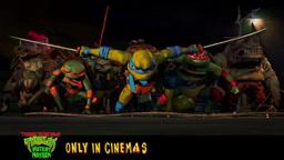 It's turtle-y awesome!