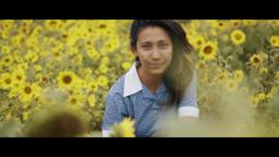 Dreams of Paper & Ink | Official Trailer | HD