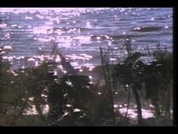 Code Name: Foxfire Trailer 1985