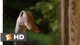 Ferdinand's Secret Mission