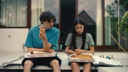 Soft Leaves – trailer | IFFR 2025