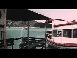 Hands Of Death 1988 Movie Trailer