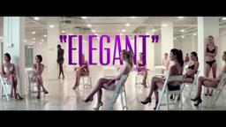 Elegant Review :30 sec spot