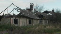 The Babushkas of Chernobyl - Trailer