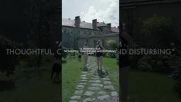 Now Streaming on MUBI