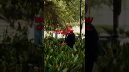 Don't just stand there. Kinds of Kindness is now available only on digital!