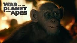 War for the Planet of the Apes | Meeting Bad Ape | 20th Century FOX