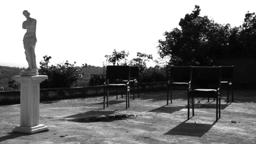 VENUS IN THE GARDEN (Η ΑΦΡΟΔΙΤΗ ΣΤΗΝ ΑΥΛΗ) 2011