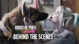 Wild Nerds: Visual Effects on Birds of Prey