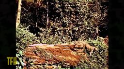 John Landis on KING SOLOMON'S MINES