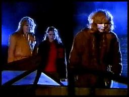 Survive The Night Trailer