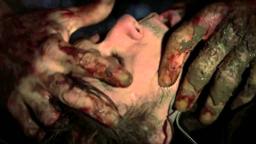 Wer (2013)