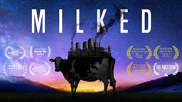 MILKED // Official trailer