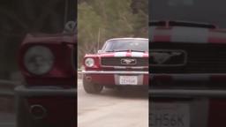 Official Clip - 'I’m Going to Shoot Them Danny' (Vertical Ver.)