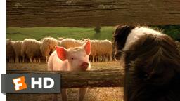 Babe, the New Sheepdog