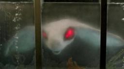 Lords of the Deep (1989) Trailer