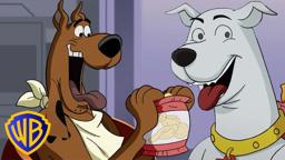 Scooby-Doo meets a super friend!