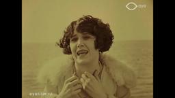 Bits & Pieces Nr. 1 (Wandering Husbands)