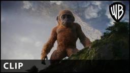 "Is that a mini Kong" Clip