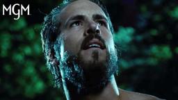 The Girl In The Window