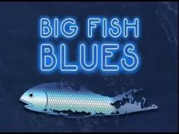 Big Fish Blues (Official Trailer)