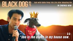 Q&A with Eddie Peng: "Xin is the Queen in my house now."