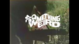 The Erotic Adventures Of Zoro from Something Weird Best Of David F. Friedman LP or CD + DVD