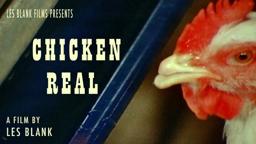 Chicken Real (TRAILER)