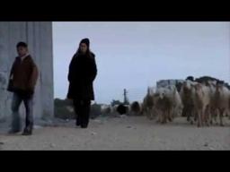 Trailer: Open Bethlehem