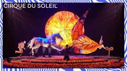 LUZIA by Cirque du Soleil - Official Trailer