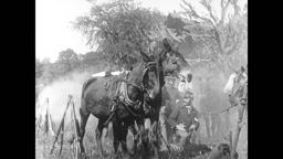 The Girl Spy Before Vicksburg