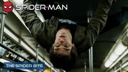 The Spider Bite Clip