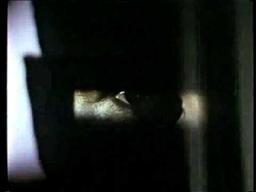 'The Custodian' (1993) Trailer