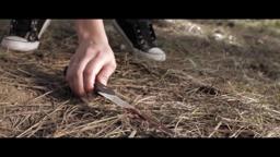 THE ENDS HAS COME TRAILER