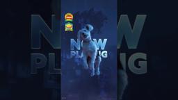 This super pup was meant for the big screen.