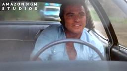 Gator Goes On A Ride