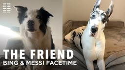 Bing & Messi FaceTime