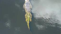 River Beauty New Movie Trailer 2023