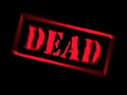 Pauly Shore is Dead - Trailer