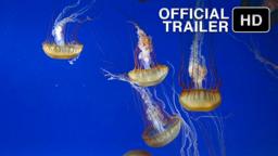 The Living Sea (1995) | Official Trailer