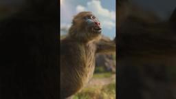 Places to go, kingdoms to see!