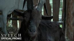 Black Phillip - Official Promo