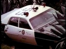 DOUBLE NICKELS (1977)