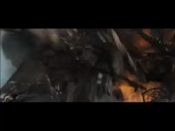 International TV Spot