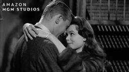 Susan & Steve's Secret Romance