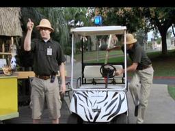 Funky Monkey - Trailer